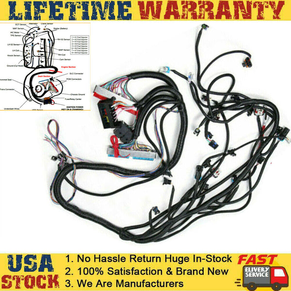 LS Swap LS1 Engine STANDALONE HARNESS T56 Manual Tran 4.8/5.3/6.0L 97-06 DBC US